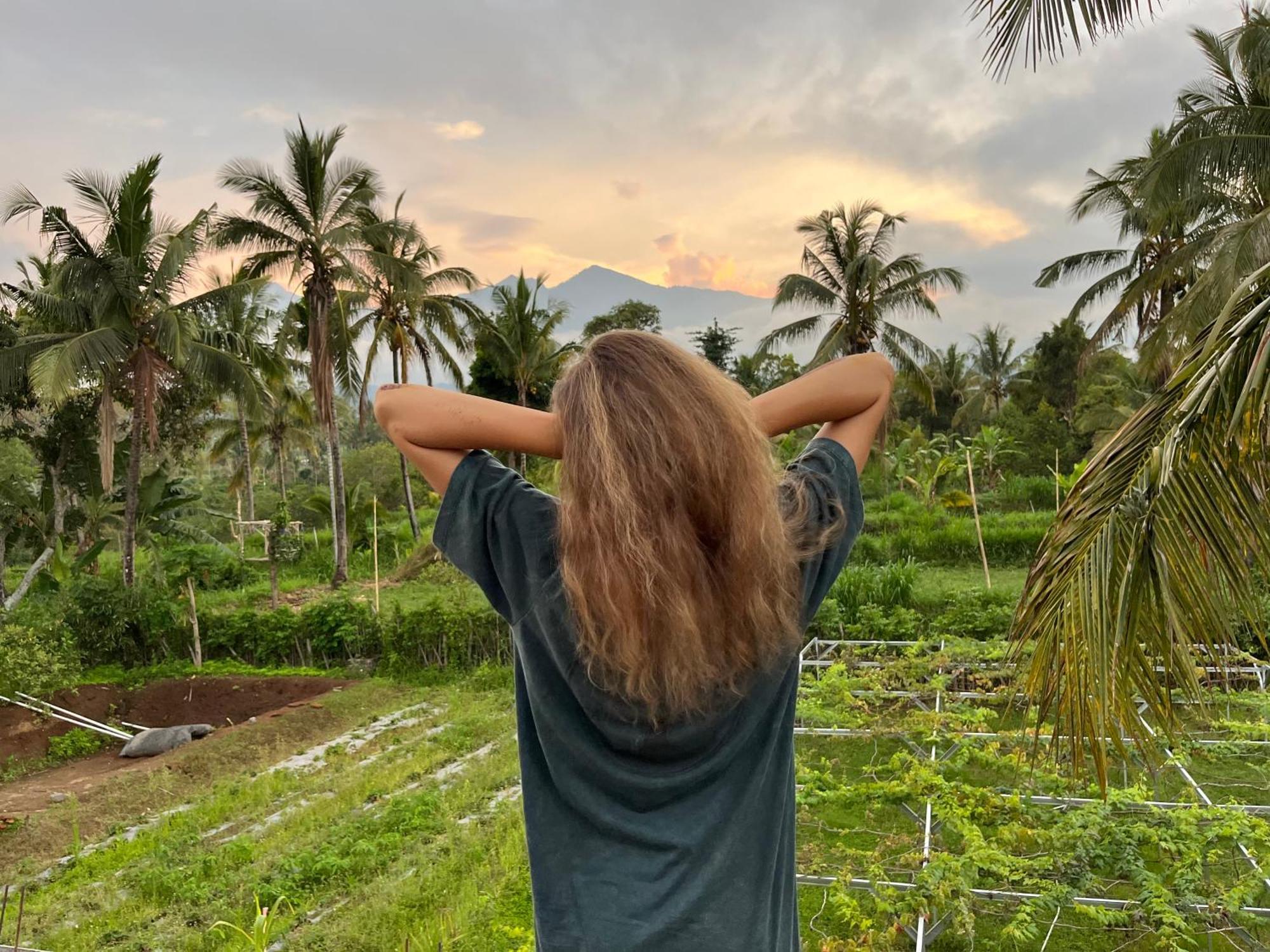 Rinjani Eco Villa Senaru بايان المظهر الخارجي الصورة
