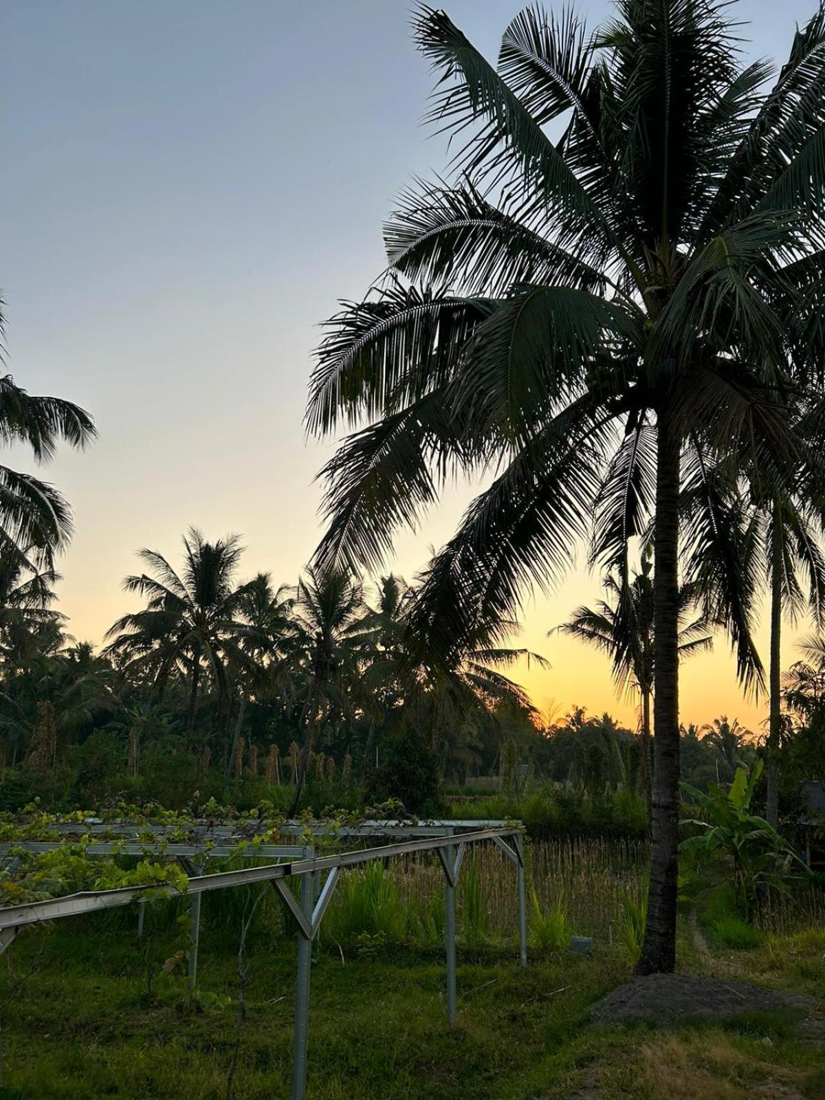 Rinjani Eco Villa Senaru بايان المظهر الخارجي الصورة