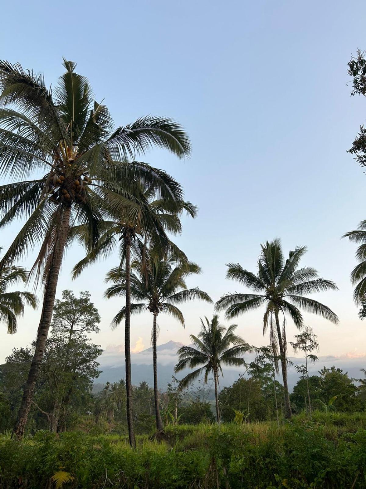 Rinjani Eco Villa Senaru بايان المظهر الخارجي الصورة