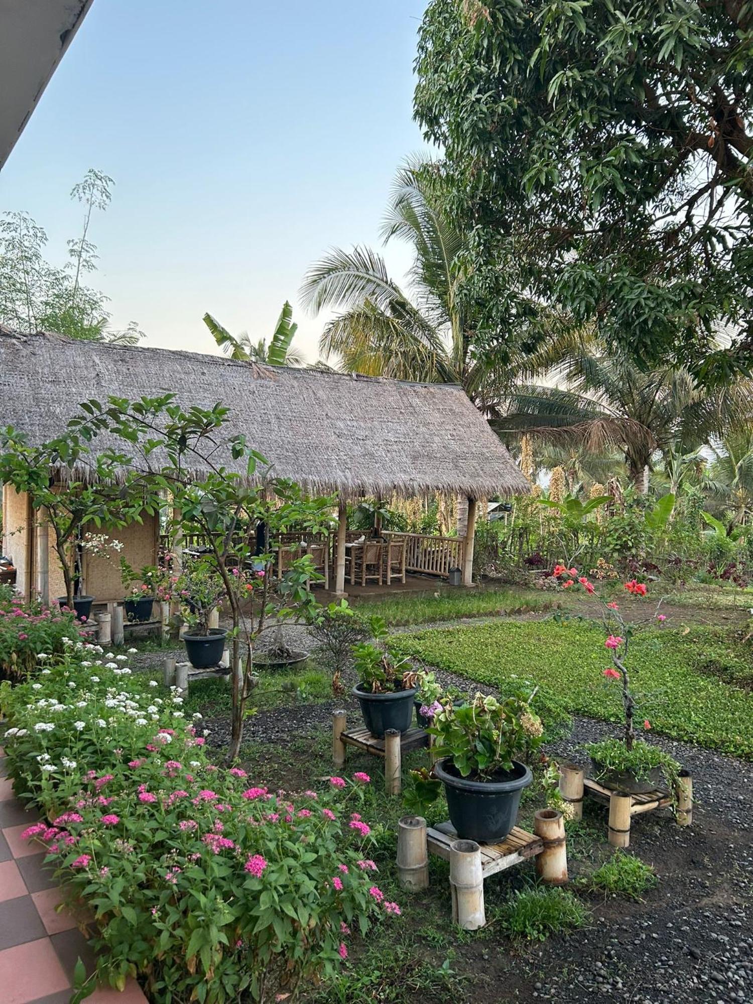 Rinjani Eco Villa Senaru بايان المظهر الخارجي الصورة