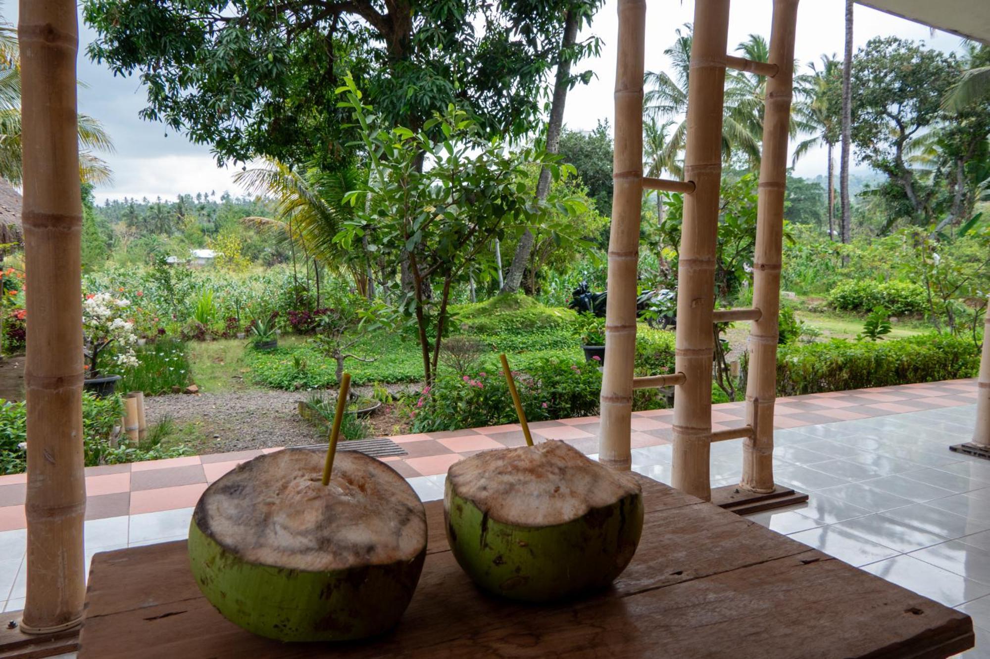 Rinjani Eco Villa Senaru بايان المظهر الخارجي الصورة